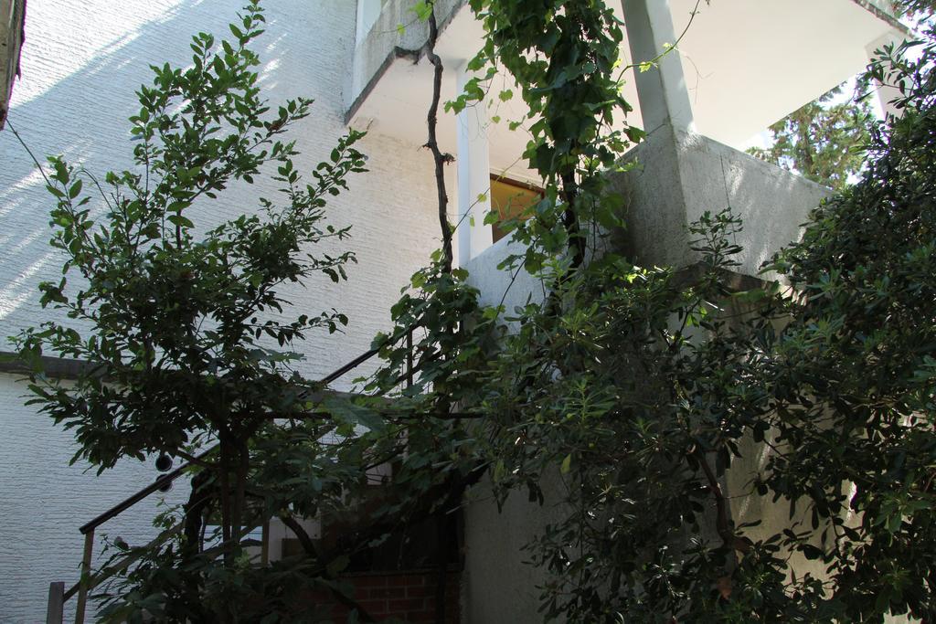 Novalja Guesthouse Economy Rooms Екстер'єр фото